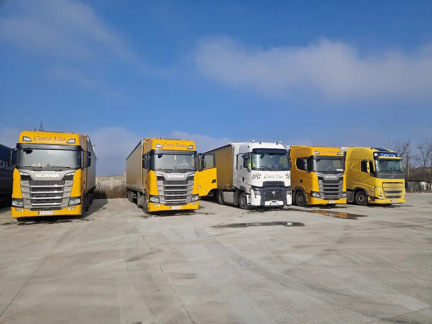 CARGO VIA ltd