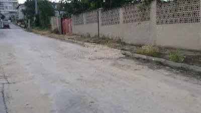 Винитекс