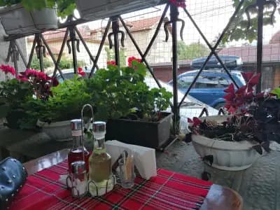 Корона