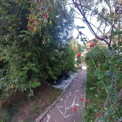 Семеен хотел Калина