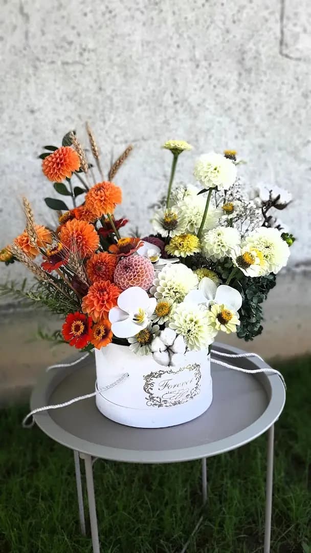 Зелен Дом