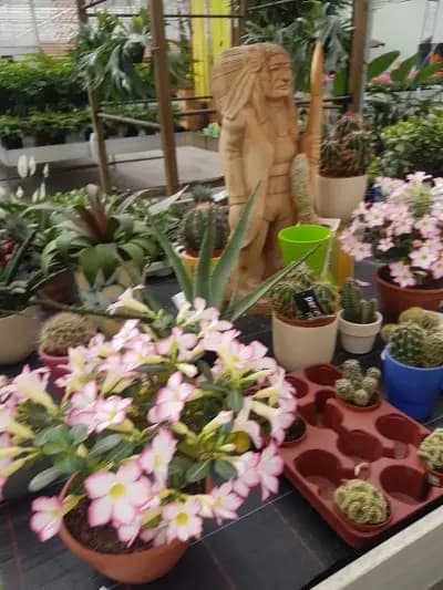 Флора ЕООД