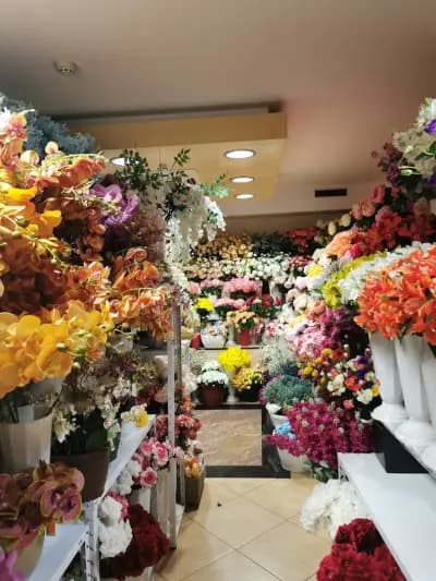 Флора комерс