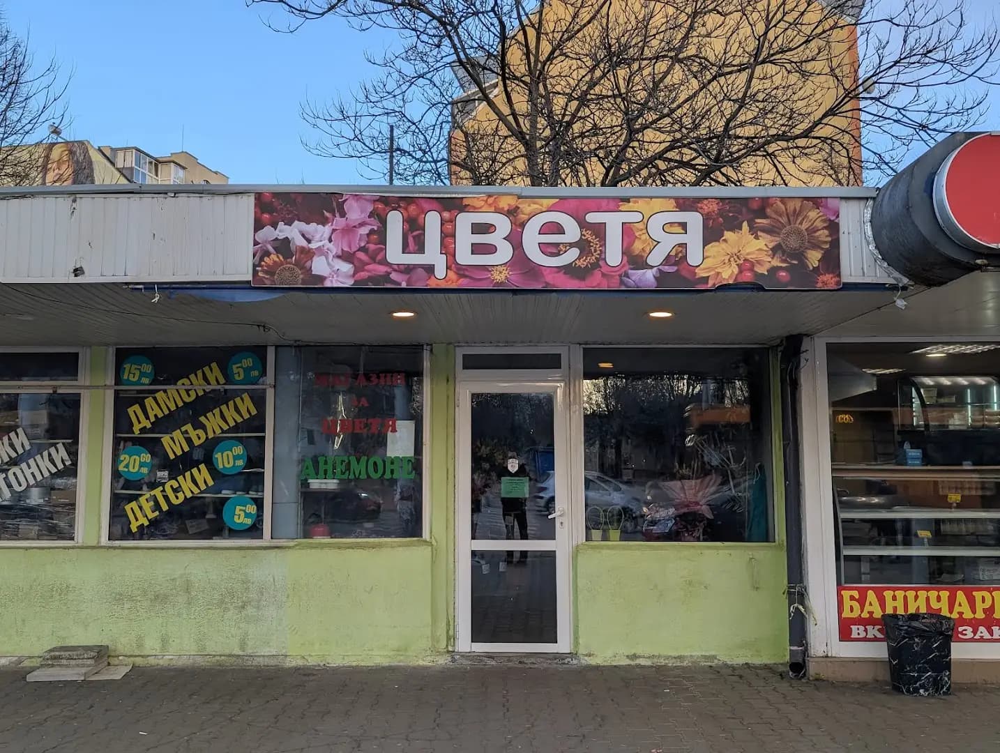 Флора
