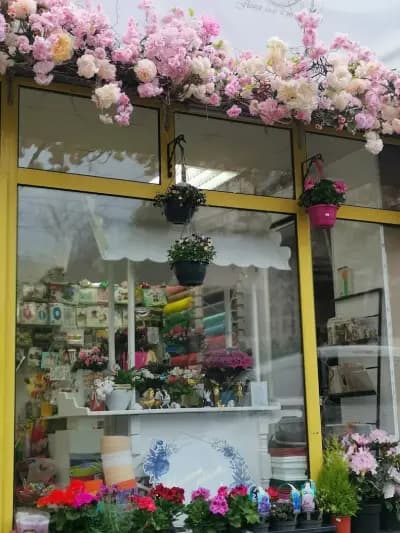 Angel wings flower shop and party agen/Ангелски крила цветарски магазин и парти агенция