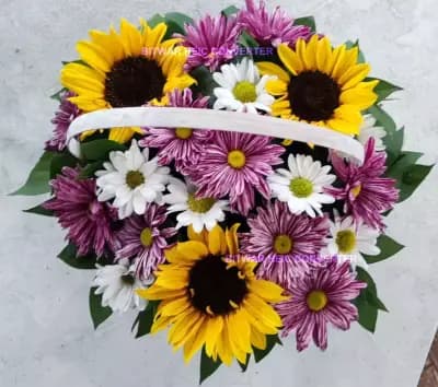 Бутик Флоранс София, Лозенец