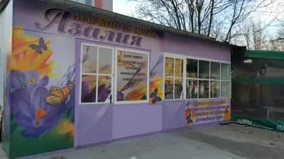 Магазин за цветя Азалия