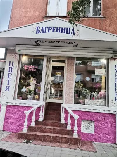 Магазин за цветя и сувенири "Багреница"