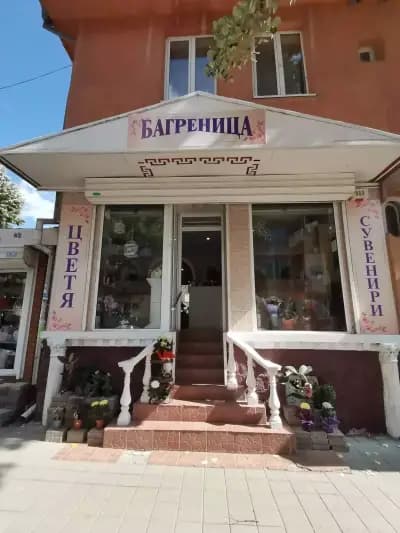 Магазин за цветя и сувенири "Багреница"