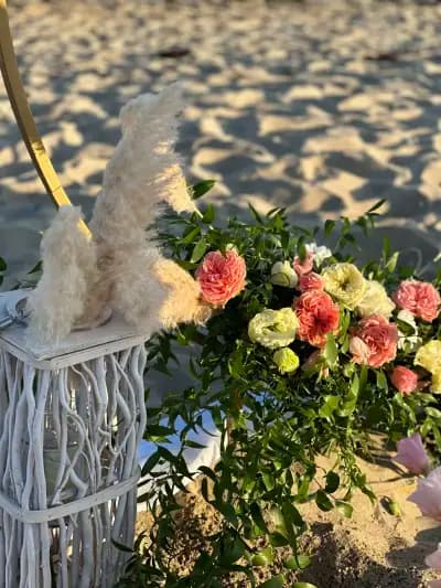 Fantasia Flower Shop Sunny Beach-Доставка