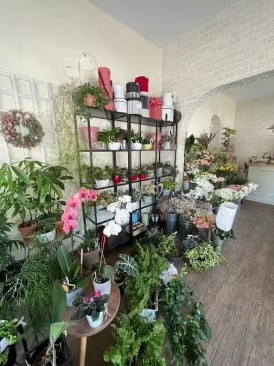 Damascena Flowers' Apartment