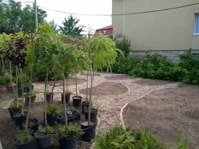 Градински център Евксиноград - Озеленяване Варна