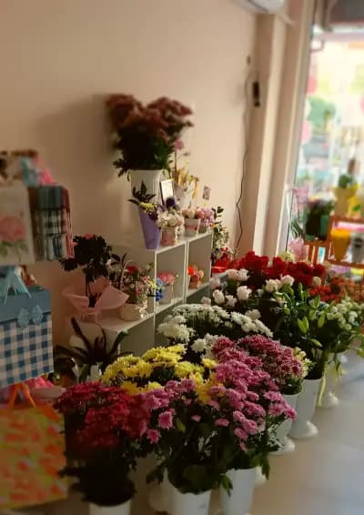DARIS - flower and gift shop