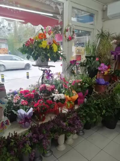 Магазин за цветя и подаръци "Калина Гардън"