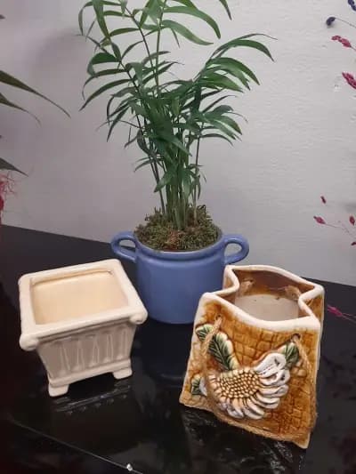 Цветарски магазин Flora Art Studio