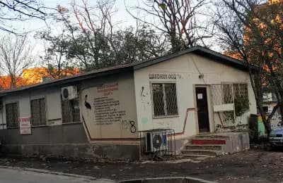 ЦИКОНИЯ ООД
