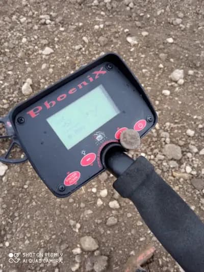 Pirate Metal Detectors