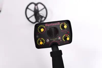Pirate Metal Detectors