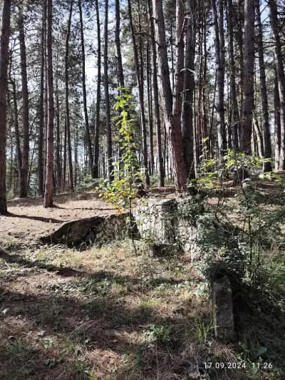 Къща за Гости Горанови