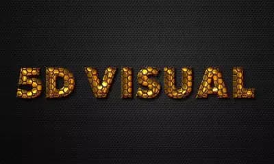 5D VISUAL ELECTRONICS