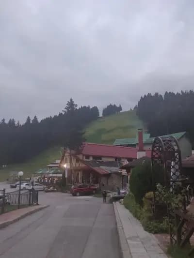 Hotel Forest Star on the Ski Slope
