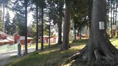 Hotel Forest Star on the Ski Slope