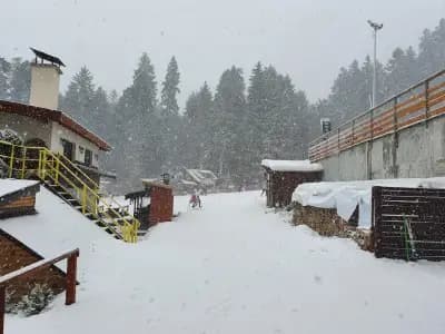 Hotel Forest Star on the Ski Slope