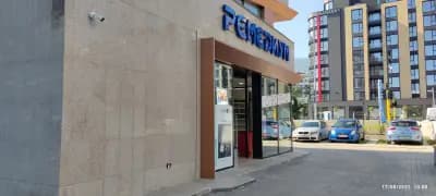 Ремедиум 13
