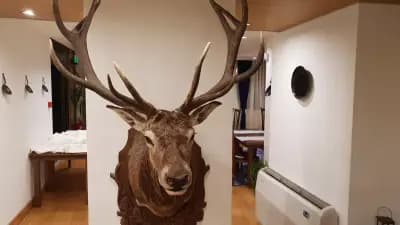Хотел The Lodge