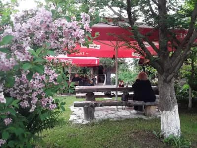Веселата Къща за Гости