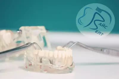 "Вайсвелт" - стоматологична практика