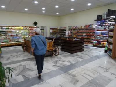 Березка гастрономия и кулинария