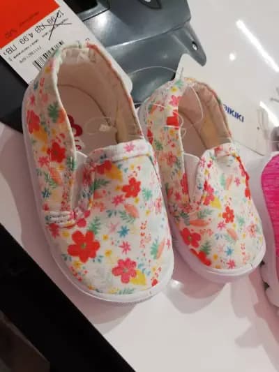 LC WAIKIKI