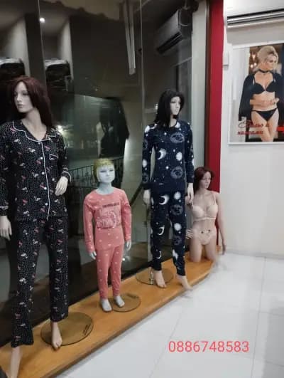 НЕСИ-М