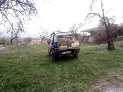 Кметство Ефрем
