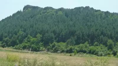 Кметство Планинец