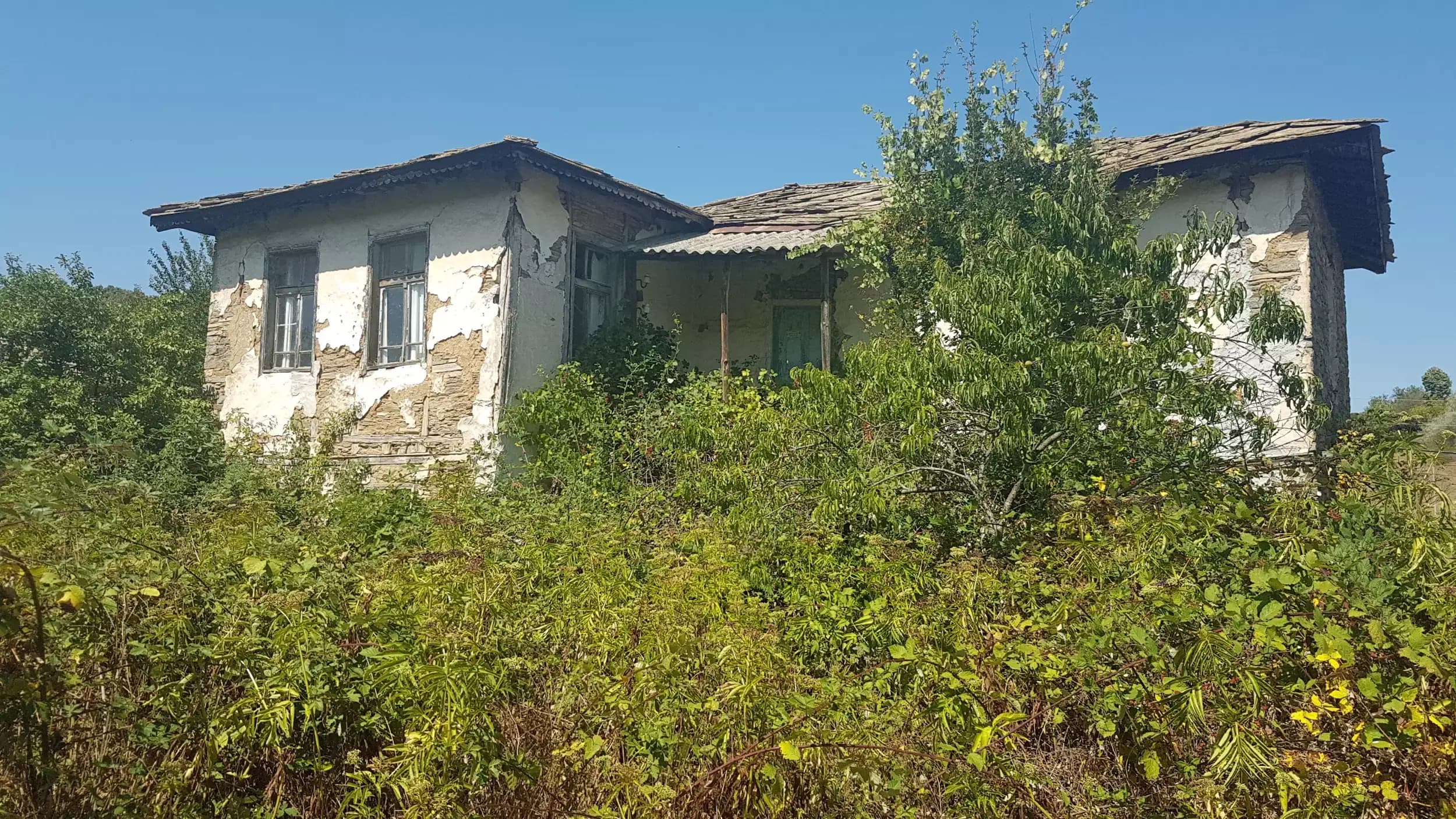 Кметство Кобилино