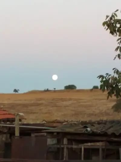 КМЕТСТВО ОРЯХОВО