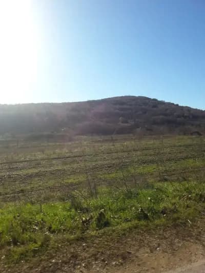 Кметство Винарово