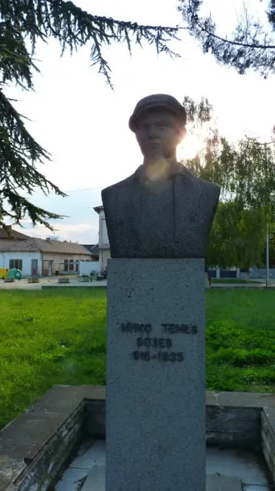 Кметство Калояновец
