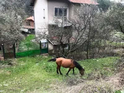 Кметство Байлово