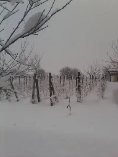 КМЕТСТВО СЕВАР