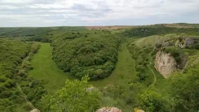 Кметство Сваленик