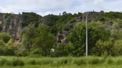 Кметство Нисово