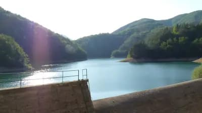 Кметство Аламовци
