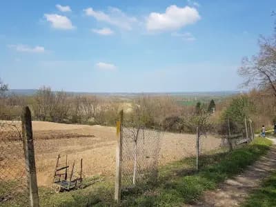 Кметство Росица