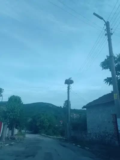 Кметство Брягово