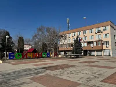 Община Бойчиновци