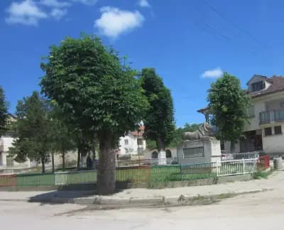 Кметство Петърница