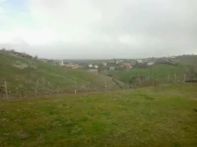 Кметство Комунига